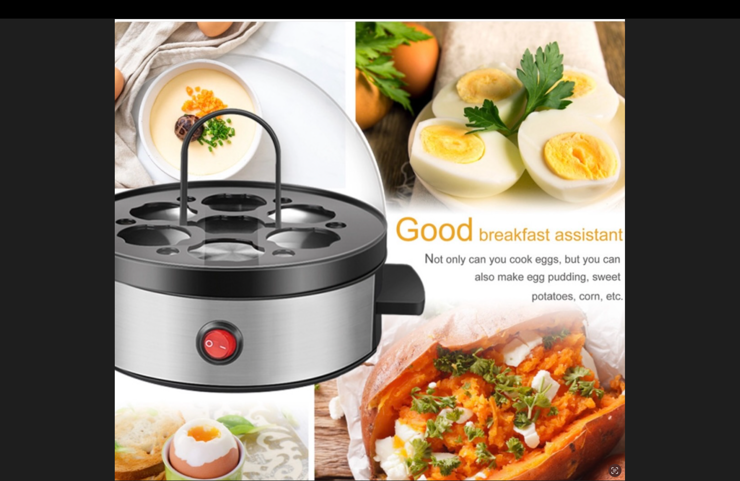 Egg Steamer